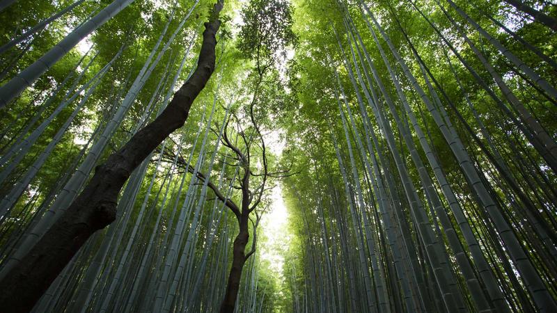 清华总裁班有没有标杆企业参访学习？