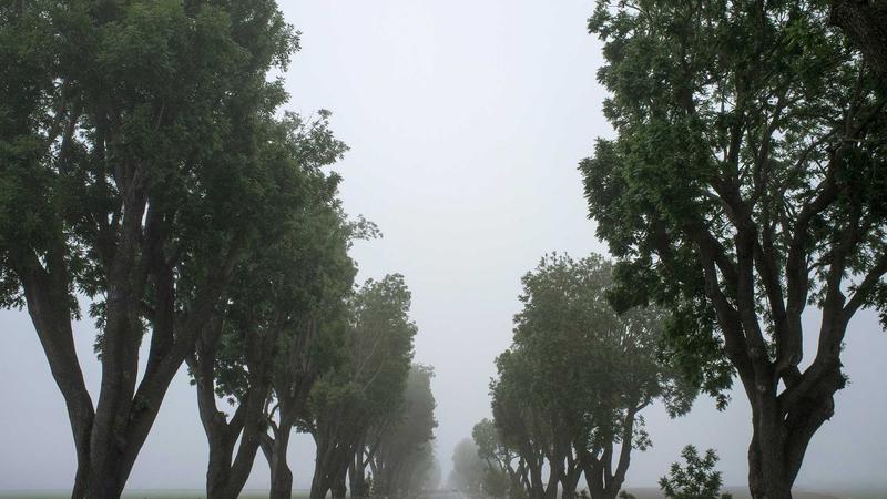 北京大学总裁班报名后多久可以开班？