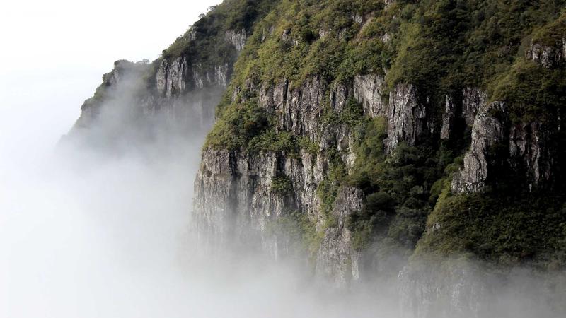 企业高管课程分不同行业班次吗？