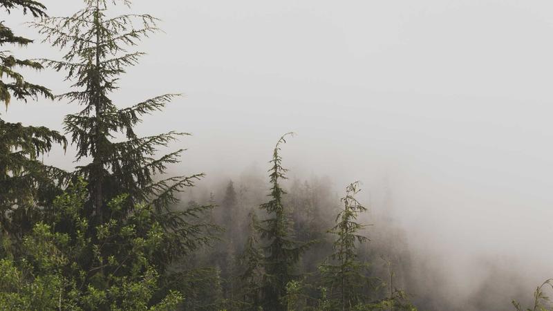 北京大学企业出海研修班解析海外政策法规吗？